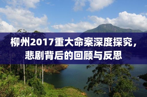 柳州2017重大命案深度探究,悲剧背后的回顾与反思