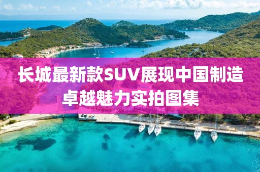 长城最新款SUV展现中国制造卓越魅力实拍图集