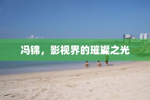 冯锦，影视界的璀璨之光