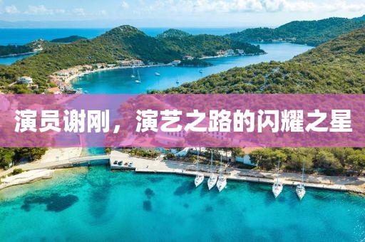 演员谢刚，演艺之路的闪耀之星