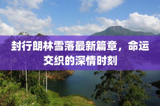 封行朗林雪落最新篇章，命运交织的深情时刻