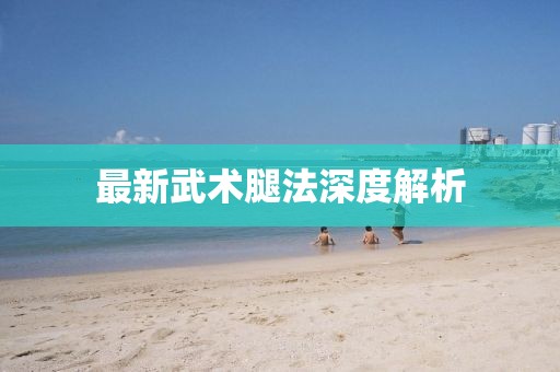 最新武术腿法深度解析