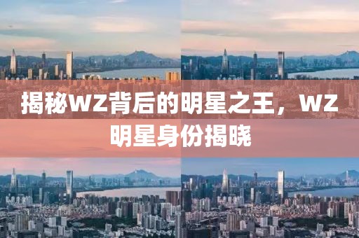 揭秘WZ背后的明星之王，WZ明星身份揭晓