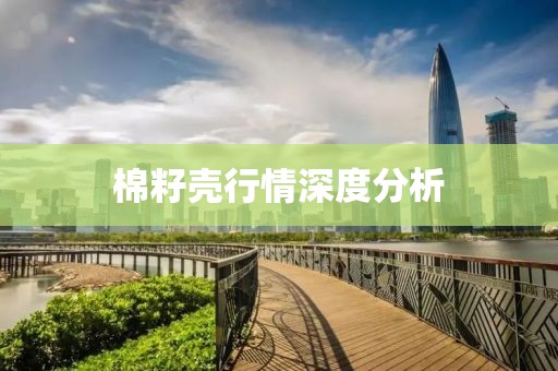 棉籽壳行情深度分析