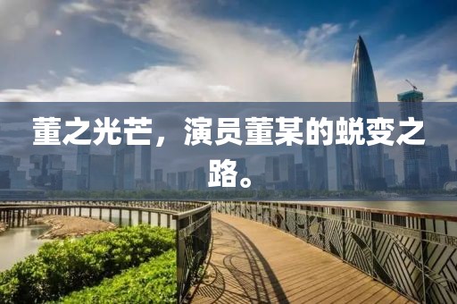 董之光芒,演员董某的蜕变之路。