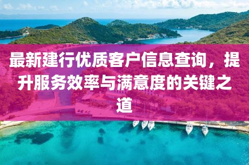 最新建行优质客户信息查询,提升服务效率与满意度的关键之道