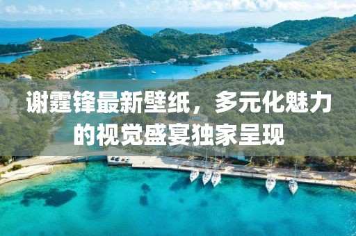 谢霆锋最新壁纸，多元化魅力的视觉盛宴独家呈现