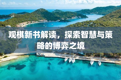 观棋新书解读,探索智慧与策略的博弈之境