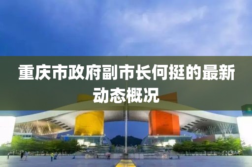 重庆市政府副市长何挺的最新动态概况