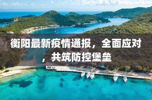 衡阳最新疫情通报,全面应对,共筑防控堡垒