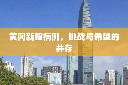 黄冈新增病例，挑战与希望的并存