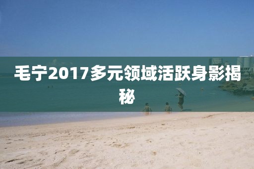 毛宁2017多元领域活跃身影揭秘