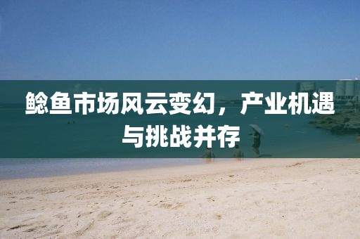 鲶鱼市场风云变幻,产业机遇与挑战并存