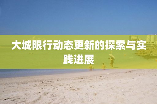 大城限行动态更新的探索与实践进展