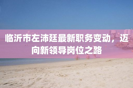 临沂市左沛廷最新职务变动，迈向新领导岗位之路