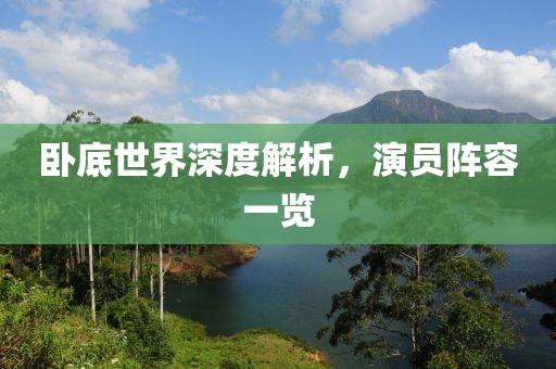 卧底世界深度解析，演员阵容一览