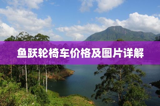 鱼跃轮椅车价格及图片详解