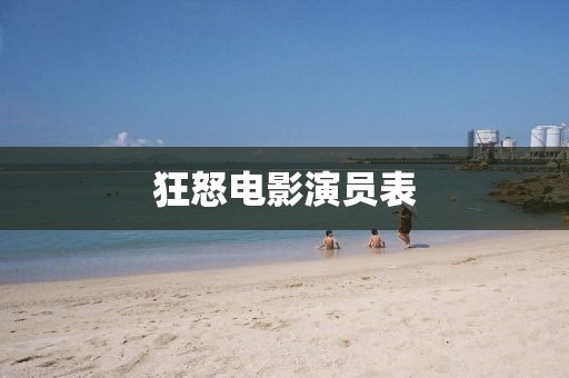 狂怒电影演员表