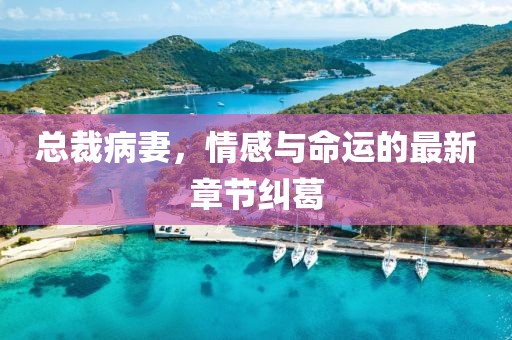 总裁病妻，情感与命运的最新章节纠葛