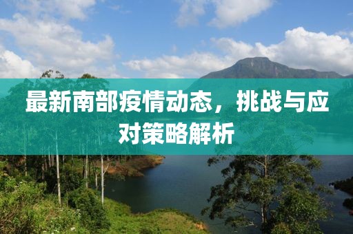 最新南部疫情动态，挑战与应对策略解析