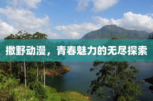 撒野动漫，青春魅力的无尽探索
