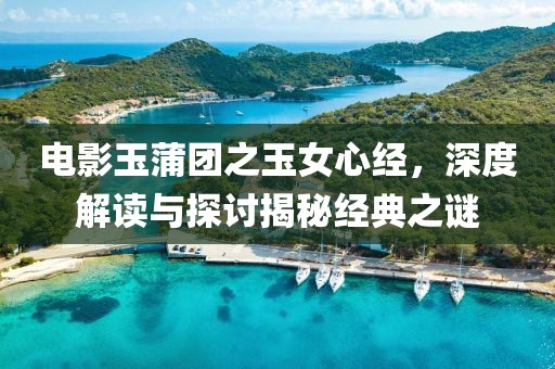 电影玉蒲团之玉女心经，深度解读与探讨揭秘经典之谜