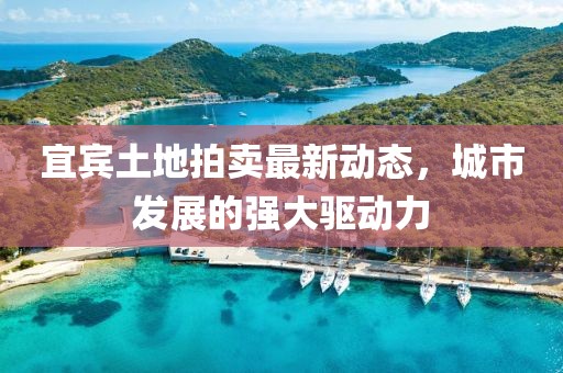 宜宾土地拍卖最新动态，城市发展的强大驱动力