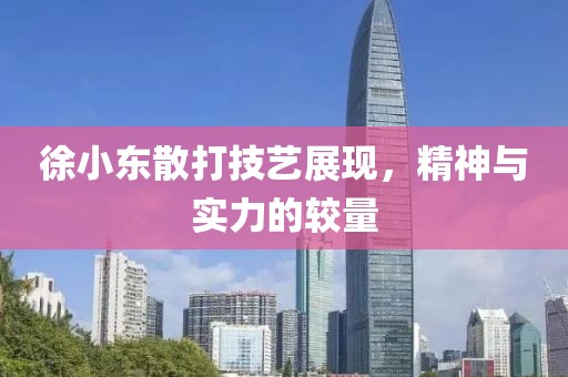 徐小东散打技艺展现，精神与实力的较量
