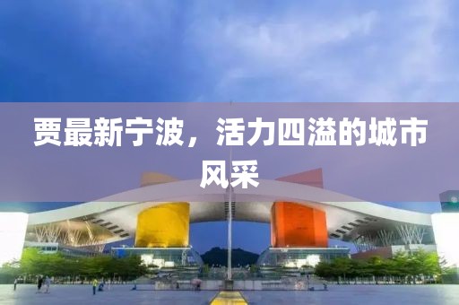 贾最新宁波，活力四溢的城市风采