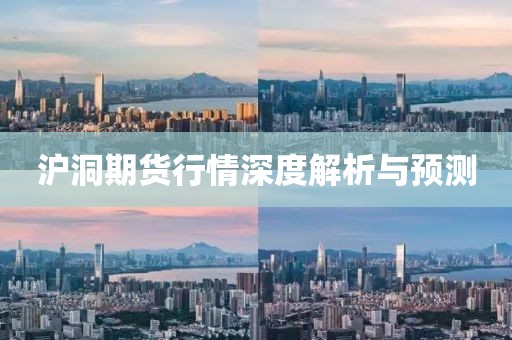 沪洞期货行情深度解析与预测
