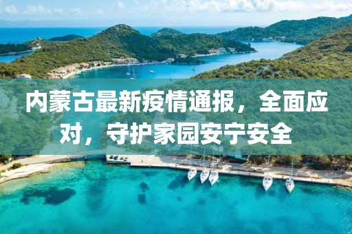 内蒙古最新疫情通报，全面应对，守护家园安宁安全