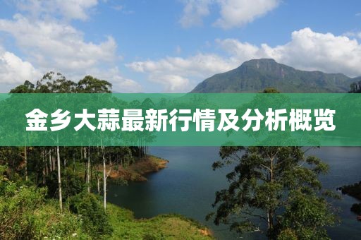 金乡大蒜最新行情及分析概览