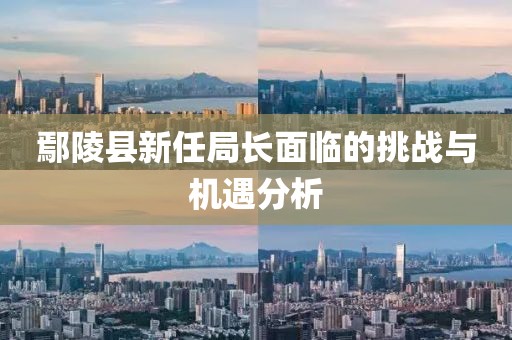 鄢陵县新任局长面临的挑战与机遇分析