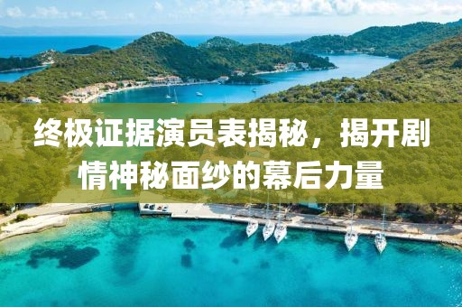 终极证据演员表揭秘，揭开剧情神秘面纱的幕后力量