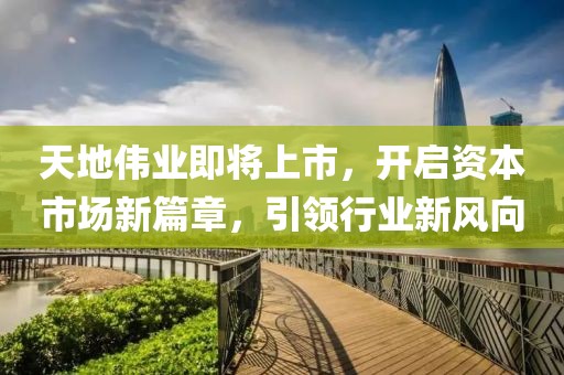 天地伟业即将上市，开启资本市场新篇章，引领行业新风向