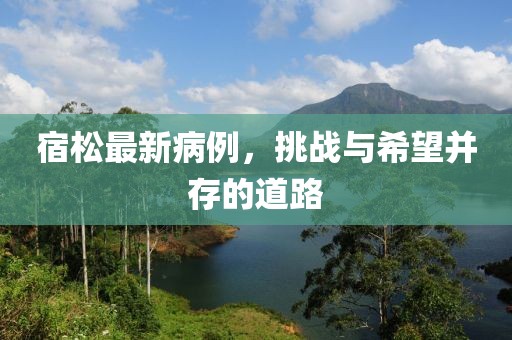 宿松最新病例，挑战与希望并存的道路