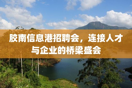 胶南信息港招聘会，连接人才与企业的桥梁盛会