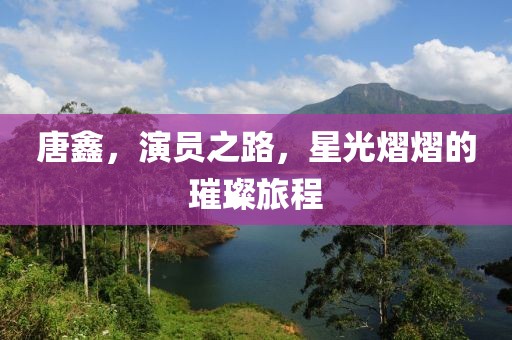 唐鑫，演员之路，星光熠熠的璀璨旅程