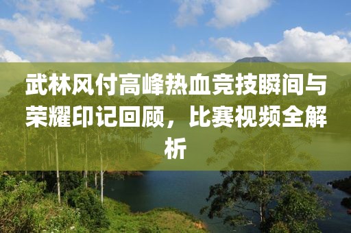 武林风付高峰热血竞技瞬间与荣耀印记回顾，比赛视频全解析