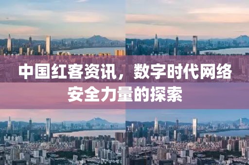 中国红客资讯，数字时代网络安全力量的探索