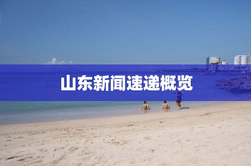 山东新闻速递概览