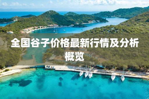 全国谷子价格最新行情及分析概览