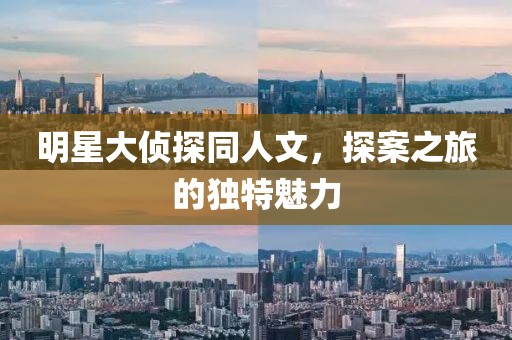 明星大侦探同人文，探案之旅的独特魅力