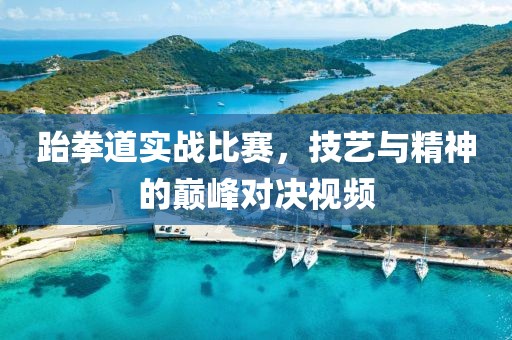 跆拳道实战比赛，技艺与精神的巅峰对决视频