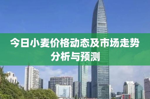 今日小麦价格动态及市场走势分析与预测