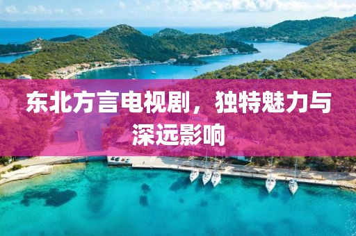 东北方言电视剧，独特魅力与深远影响