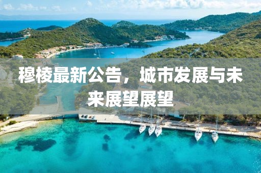 穆棱最新公告，城市发展与未来展望展望
