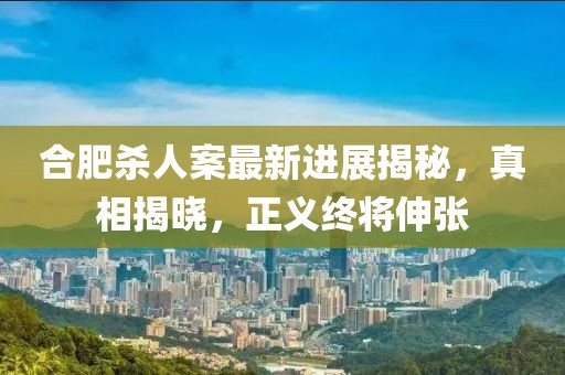 合肥杀人案最新进展揭秘，真相揭晓，正义终将伸张