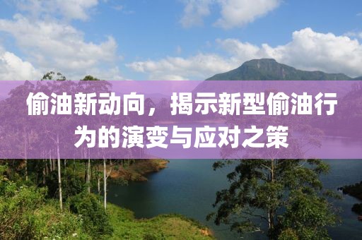 偷油新动向，揭示新型偷油行为的演变与应对之策