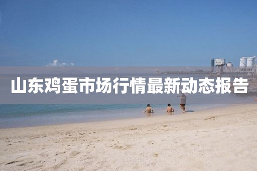 山东鸡蛋市场行情最新动态报告